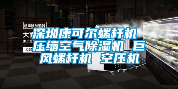 欧美黄色电影在线播放 深圳康可尔螺杆机 压缩空气除湿机 巨风螺杆机 空压机