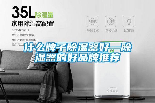 欧美黄色性爱视频网站 什么牌子除湿器好—除湿器的好品牌推荐