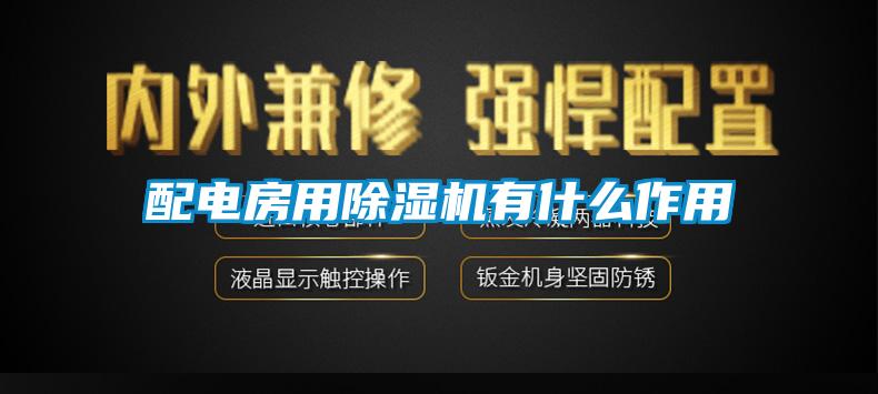 欧美黄色性爱视频网站 配电房用除湿机有什么作用