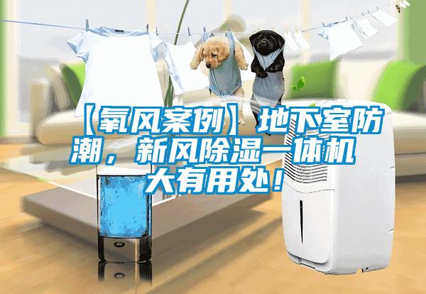 欧美成色手机在线观看 【氧风案例】地下室防潮，新风除湿一体机大有用处！
