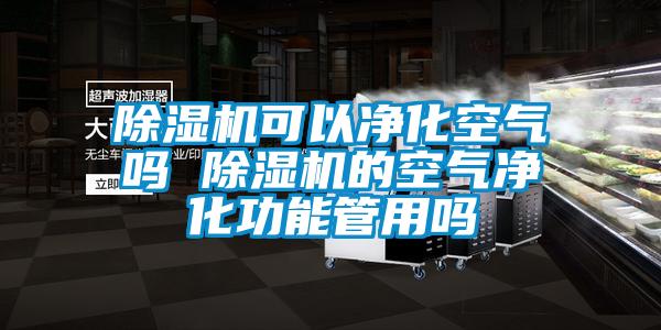 欧美黄色性爱视频网站 除湿机可以净化空气吗 除湿机的空气净化功能管用吗