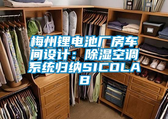 欧美黄色性爱视频网站 梅州锂电池厂房车间设计：除湿空调系统归纳SICOLAB
