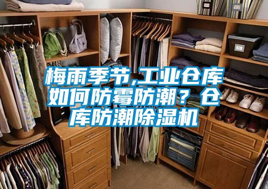 欧美黄色性爱视频网站 梅雨季节,工业仓库如何防霉防潮？仓库防潮除湿机