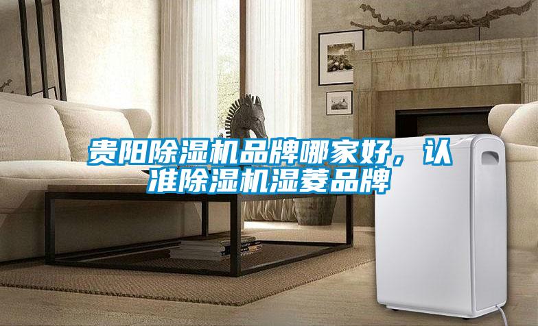 欧美成色手机在线观看 贵阳除湿机品牌哪家好，认准除湿机湿菱品牌
