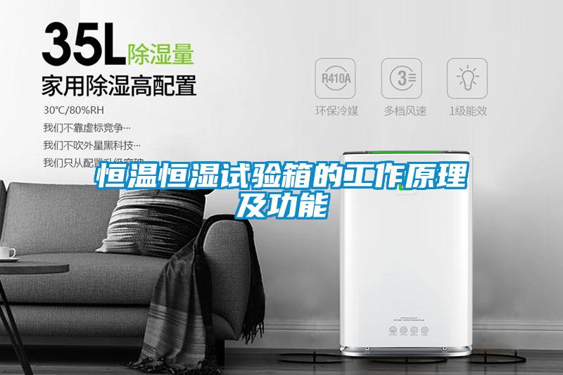 欧美黄色电影在线播放 恒温恒湿试验箱的工作原理及功能