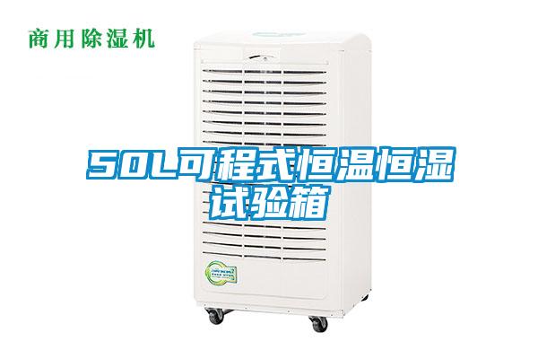 欧美黄色电影在线播放 50L可程式恒温恒湿试验箱