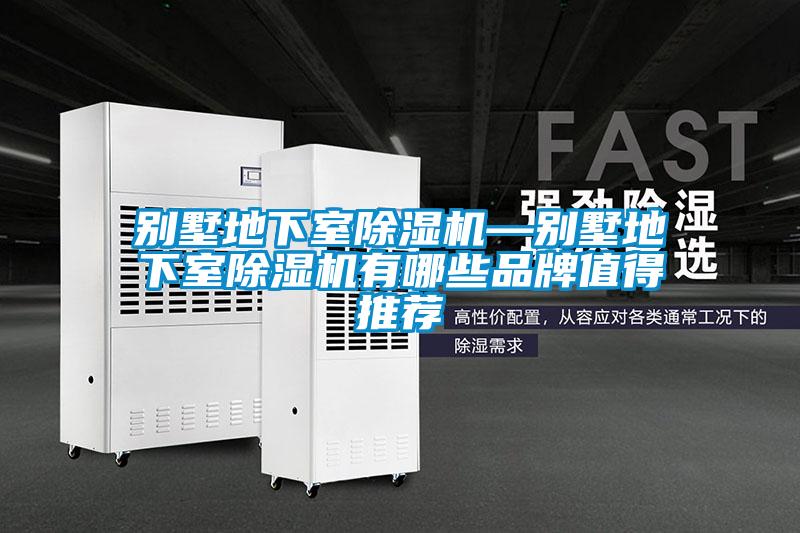 欧美黄色性爱视频网站 别墅地下室除湿机—别墅地下室除湿机有哪些品牌值得推荐