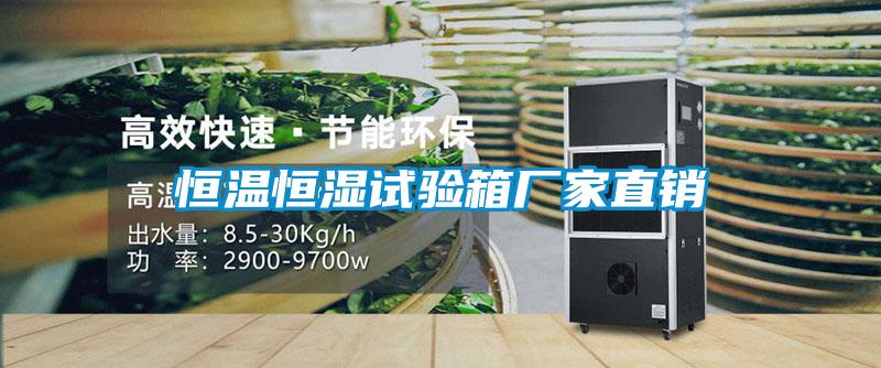 欧美黄色性爱视频网站 恒温恒湿试验箱厂家直销
