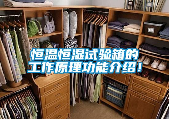 欧美黄色电影在线播放 恒温恒湿试验箱的工作原理功能介绍！