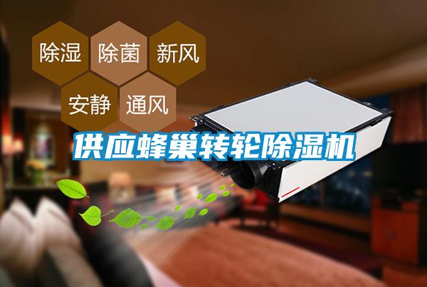 欧美黄色性爱视频网站 供应蜂巢转轮除湿机