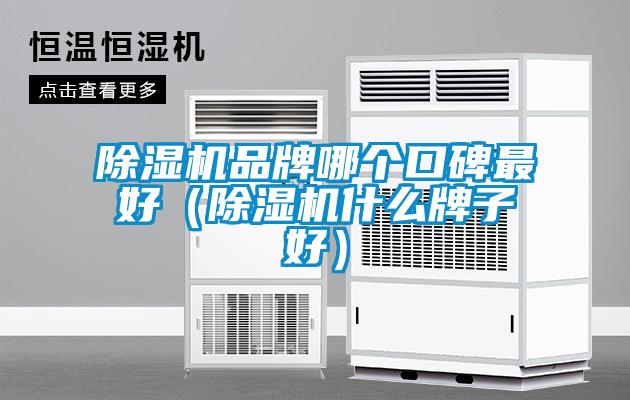 欧美黄色性爱视频网站 除湿机品牌哪个口碑最好（除湿机什么牌子好）