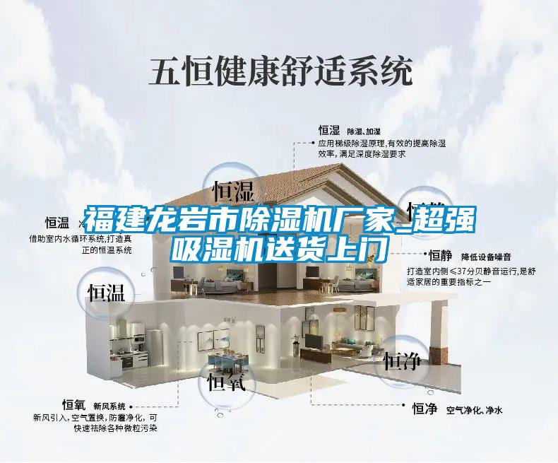 欧美黄色电影在线播放 福建龙岩市除湿机厂家_超强吸湿机送货上门
