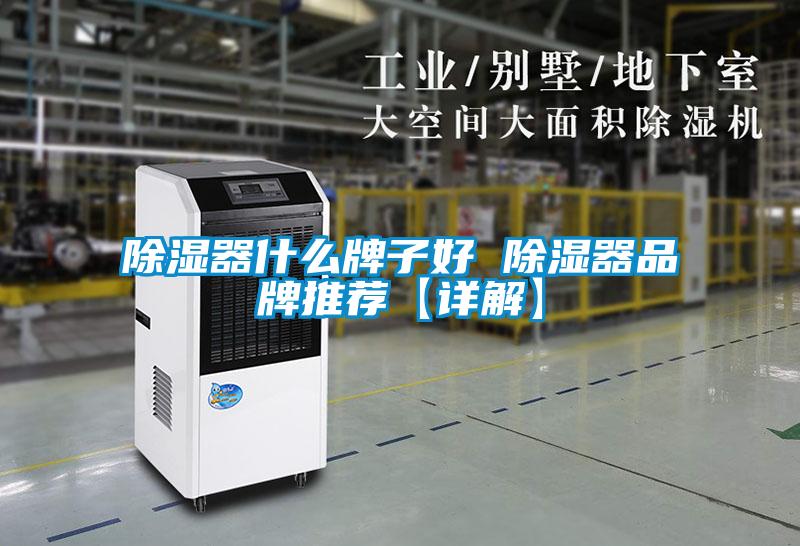 欧美黄色电影在线播放 除湿器什么牌子好 除湿器品牌推荐【详解】