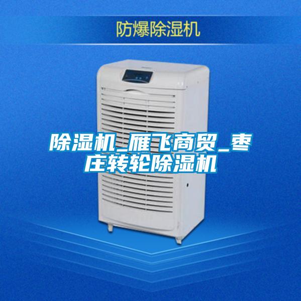 欧美黄色电影在线播放 除湿机_雁飞商贸_枣庄转轮除湿机