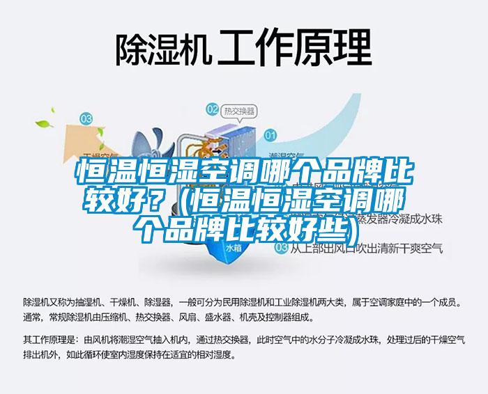 欧美成色手机在线观看 恒温恒湿空调哪个品牌比较好？(恒温恒湿空调哪个品牌比较好些)