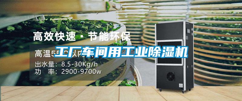 欧美黄色电影在线播放 工厂车间用工业除湿机