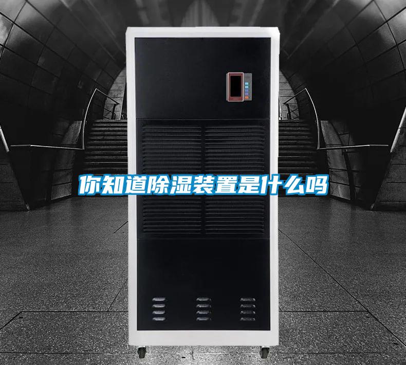 欧美成色手机在线观看 你知道除湿装置是什么吗