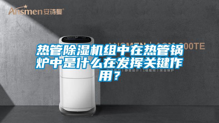 欧美成色手机在线观看 热管除湿机组中在热管锅炉中是什么在发挥关键作用？