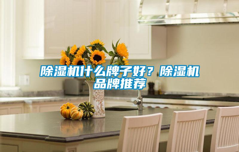欧美黄色电影在线播放 除湿机什么牌子好？除湿机品牌推荐