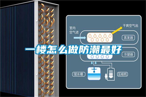 欧美黄色性爱视频网站 一楼怎么做防潮最好