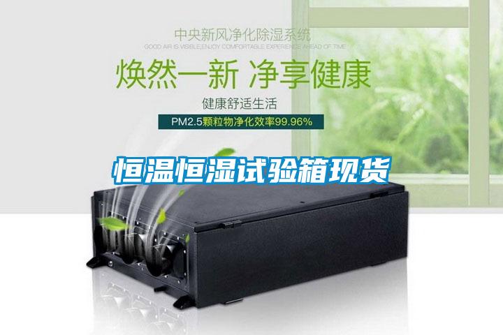 欧美黄色性爱视频网站 恒温恒湿试验箱现货