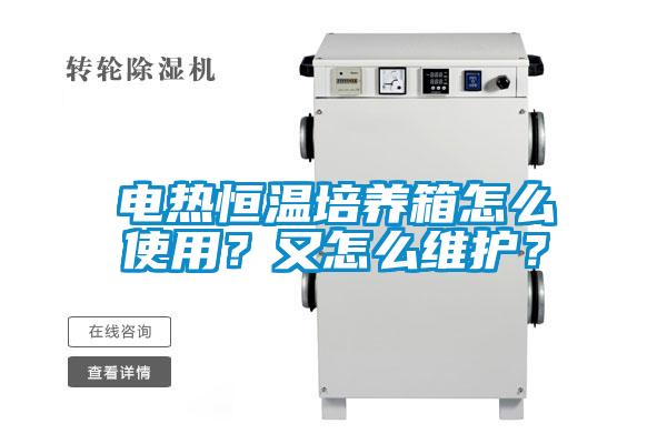 欧美成色手机在线观看 电热恒温培养箱怎么使用？又怎么维护？