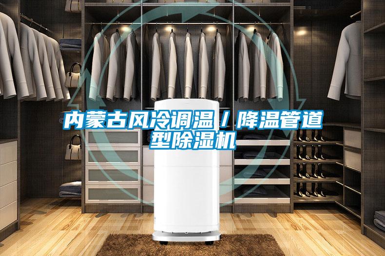 欧美黄色性爱视频网站 内蒙古风冷调温／降温管道型除湿机