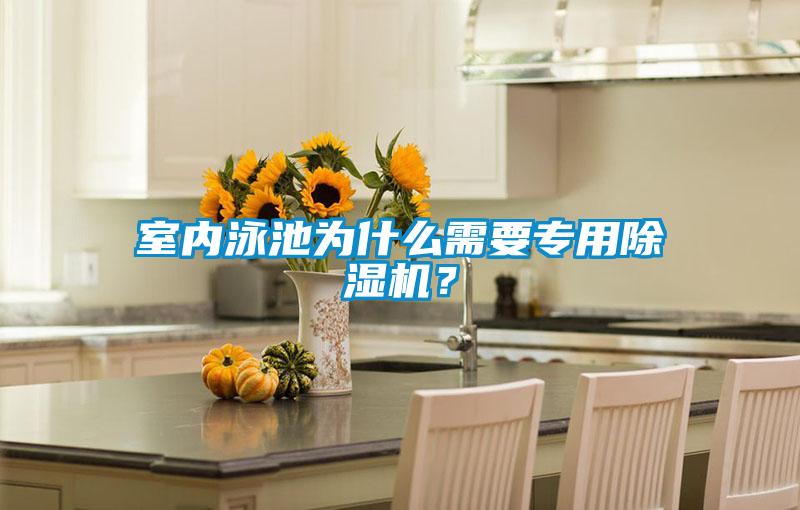 欧美黄色性爱视频网站 室内泳池为什么需要专用除湿机？