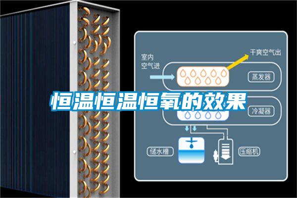 欧美黄色电影在线播放 恒温恒温恒氧的效果