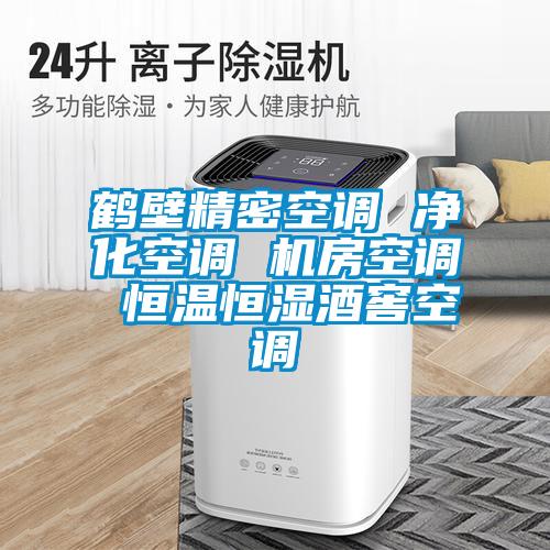 欧美成色手机在线观看 鹤壁精密空调 净化空调 机房空调 恒温恒湿酒窖空调