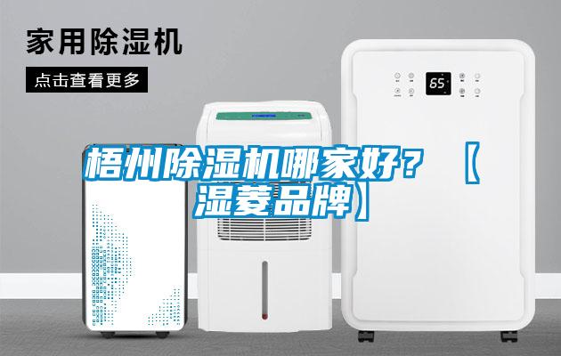 欧美黄色电影在线播放 梧州除湿机哪家好？【湿菱品牌】