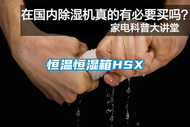 欧美成色手机在线观看 恒温恒湿箱HSX