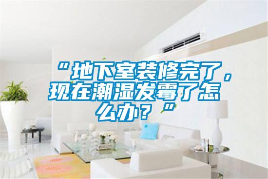 欧美黄色电影在线播放 “地下室装修完了，现在潮湿发霉了怎么办？”