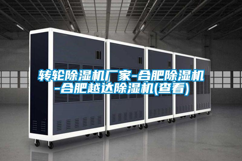 欧美黄色性爱视频网站 转轮除湿机厂家-合肥除湿机-合肥越达除湿机(查看)