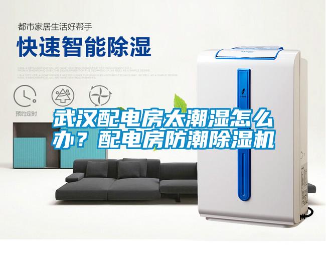 欧美成色手机在线观看 武汉配电房太潮湿怎么办？配电房防潮除湿机