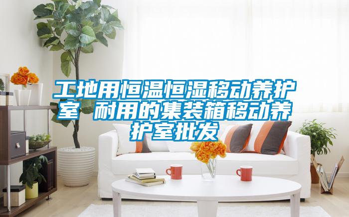 欧美黄色性爱视频网站 工地用恒温恒湿移动养护室 耐用的集装箱移动养护室批发