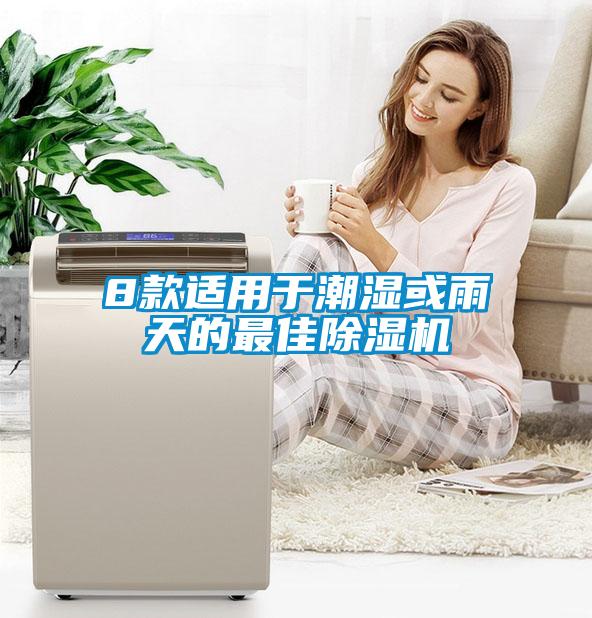 欧美黄色性爱视频网站 8款适用于潮湿或雨天的最佳除湿机