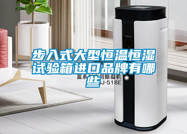 欧美成色手机在线观看 步入式大型恒温恒湿试验箱进口品牌有哪些