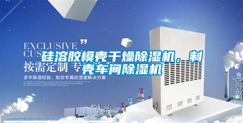 欧美成色手机在线观看 硅溶胶模壳干燥除湿机，制壳车间除湿机