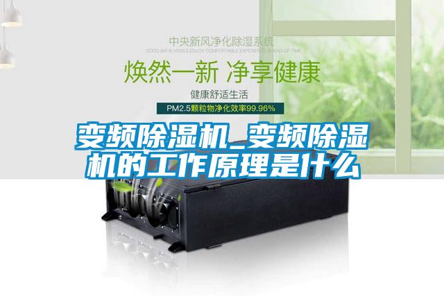 欧美成色手机在线观看 变频除湿机_变频除湿机的工作原理是什么