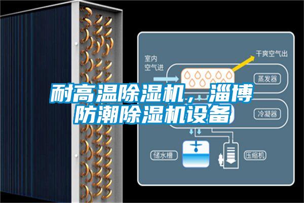 欧美成色手机在线观看 耐高温除湿机，淄博防潮除湿机设备