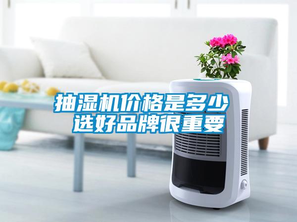 欧美黄色性爱视频网站 抽湿机价格是多少 选好品牌很重要