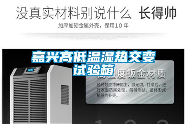 欧美成色手机在线观看 嘉兴高低温湿热交变试验箱