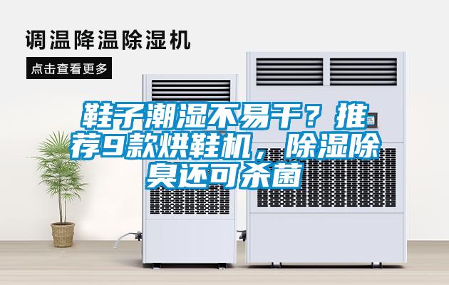 欧美黄色电影在线播放 鞋子潮湿不易干？推荐9款烘鞋机，除湿除臭还可杀菌