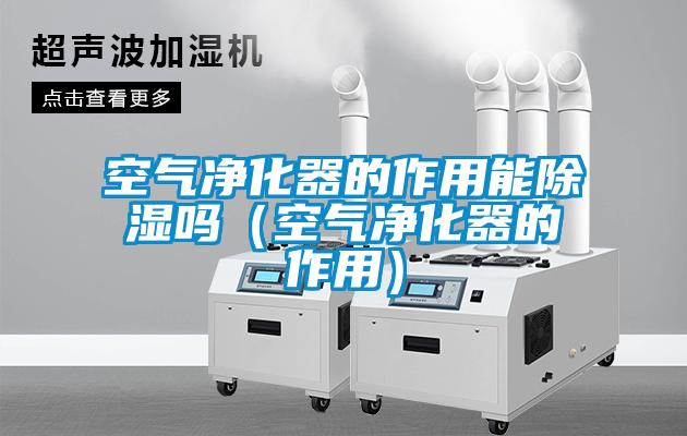 欧美黄色性爱视频网站 空气净化器的作用能除湿吗（空气净化器的作用）