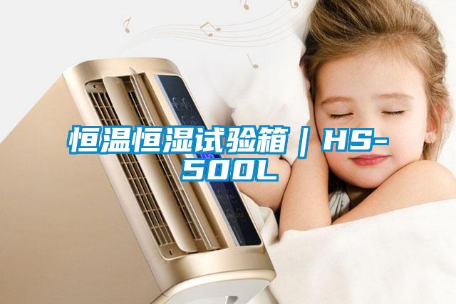 欧美黄色性爱视频网站 恒温恒湿试验箱｜HS-500L