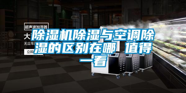 欧美黄色性爱视频网站 除湿机除湿与空调除湿的区别在哪 值得一看