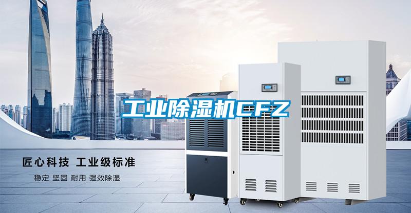 欧美成色手机在线观看 工业除湿机CFZ