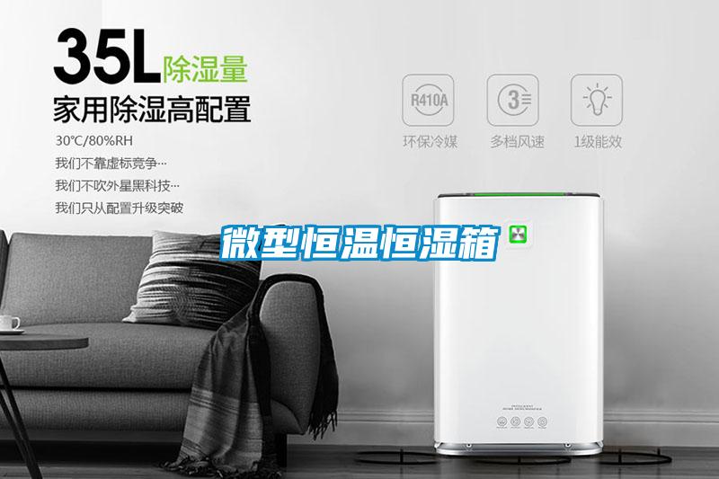 欧美成色手机在线观看 微型恒温恒湿箱