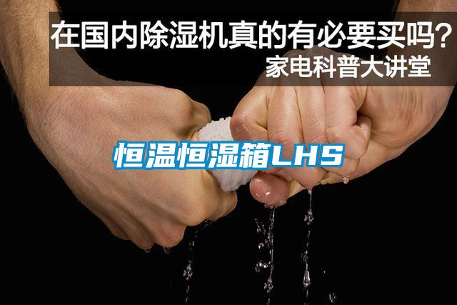 欧美成色手机在线观看 恒温恒湿箱LHS